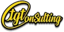 TGT Consulting LLC